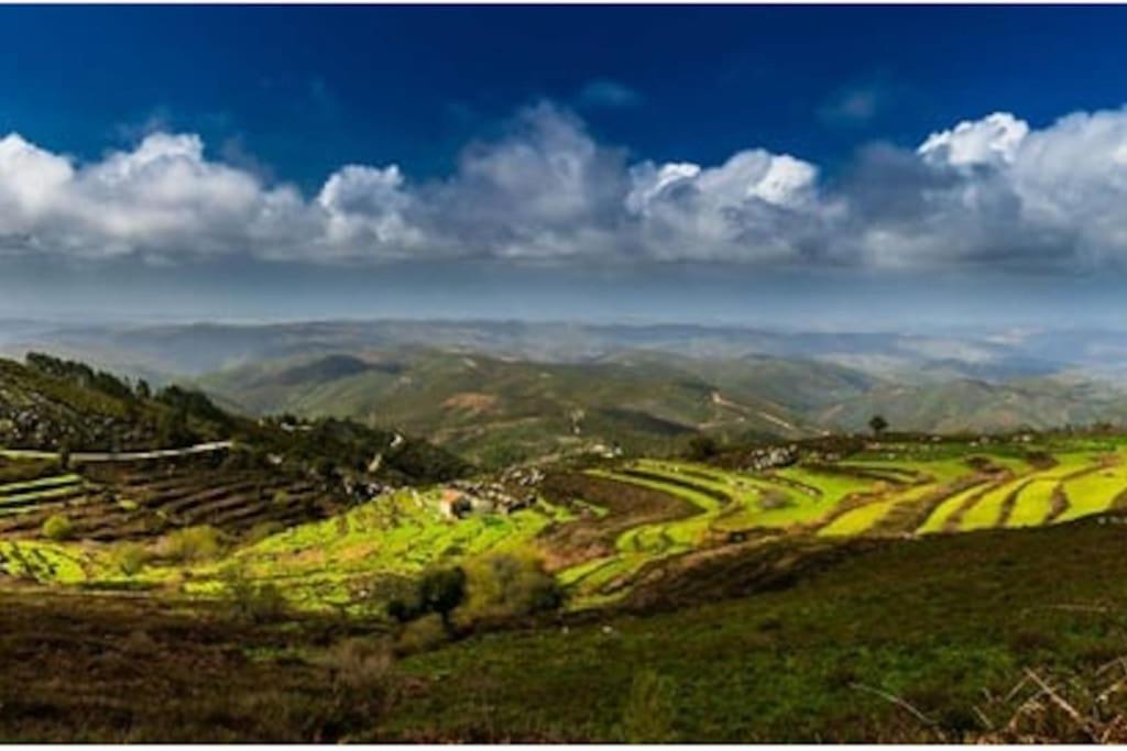 Casa Citrus Limao - Between The Hills & The Ocean Silves Exterior foto
